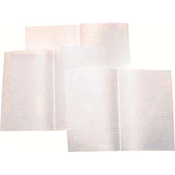 Konseptipaperi/Koepaperi 2XA4 7X7 ruudut/16
